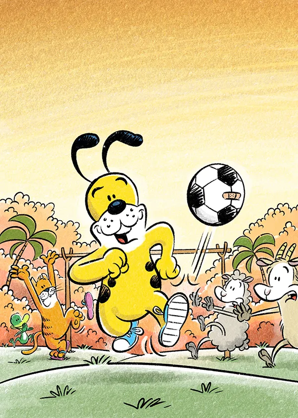 Image illustraton for the book:Cat and Dog Play Soccer