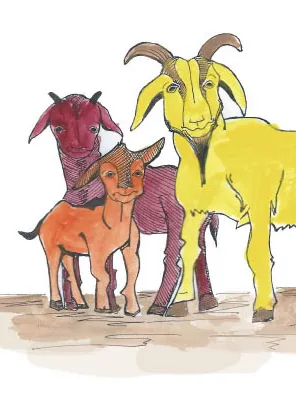 Image illustraton for the book:The Three Billy Goats Gruff