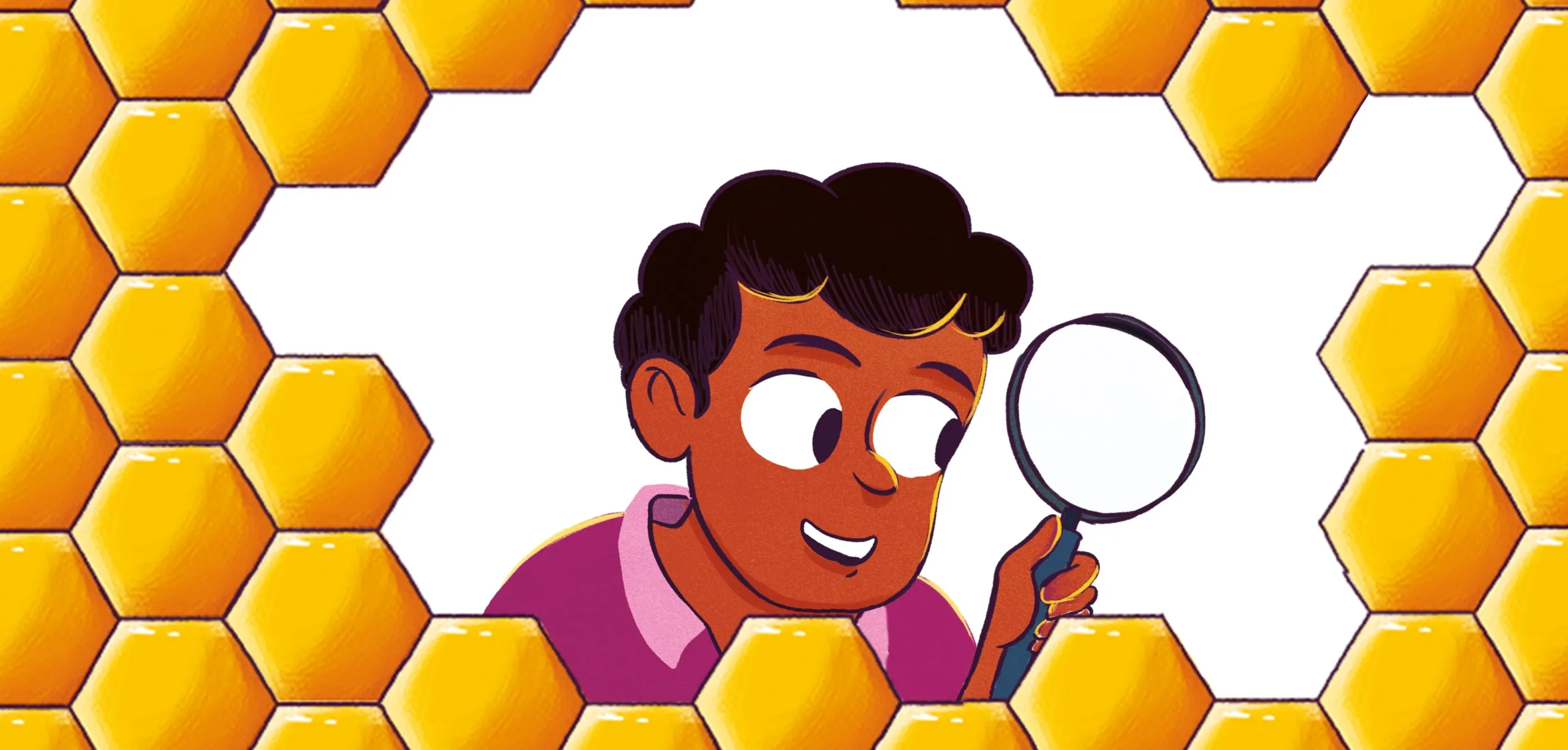 Image illustraton for the book:Pranav the Pattern Detective