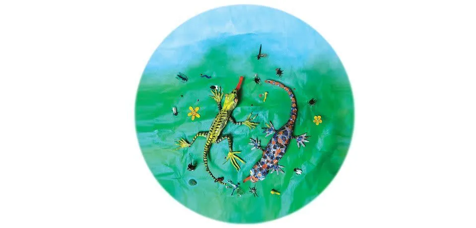 Image illustraton for the book:The Green Lizard and the Gecko