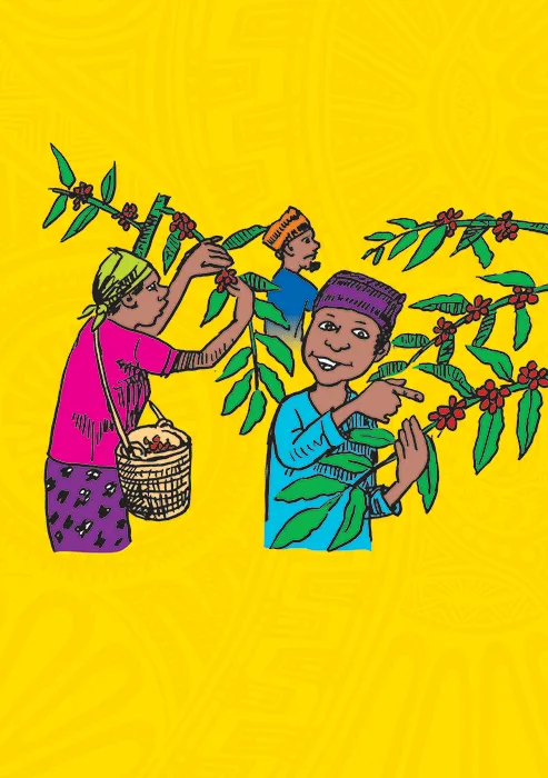 Image illustraton for the book:PNG Coffee